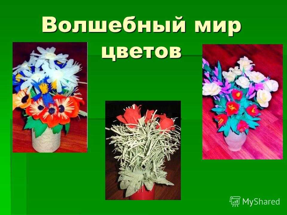 Волшебный мир цветов