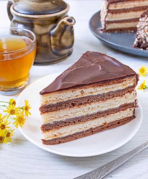 Рецепт торта мишка на севере - старый рецепт, классический советский вариант приготовления пошагово с фото