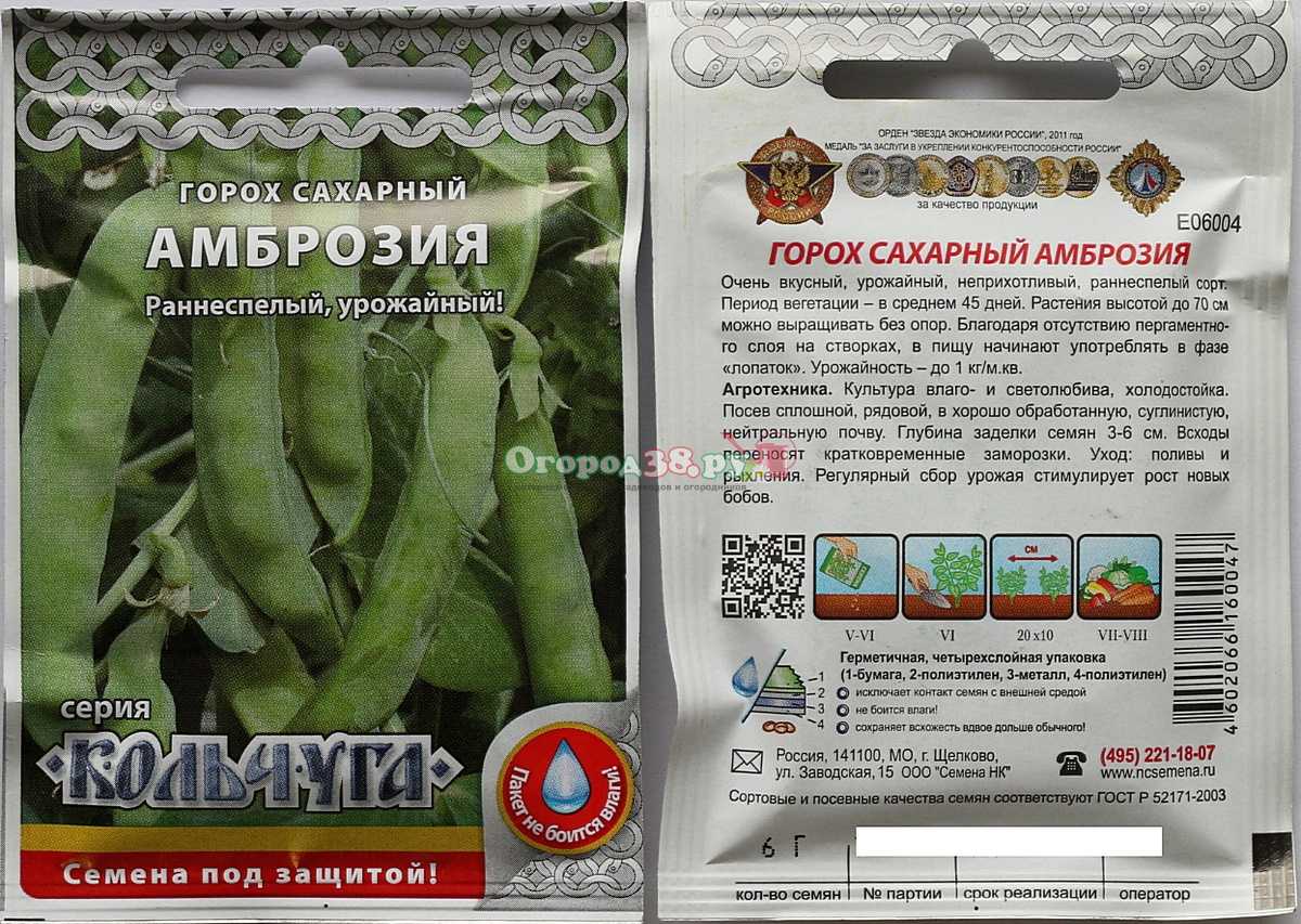 Правильная посадка гороха весной в открытый грунт: сроки, схемы, подготовка