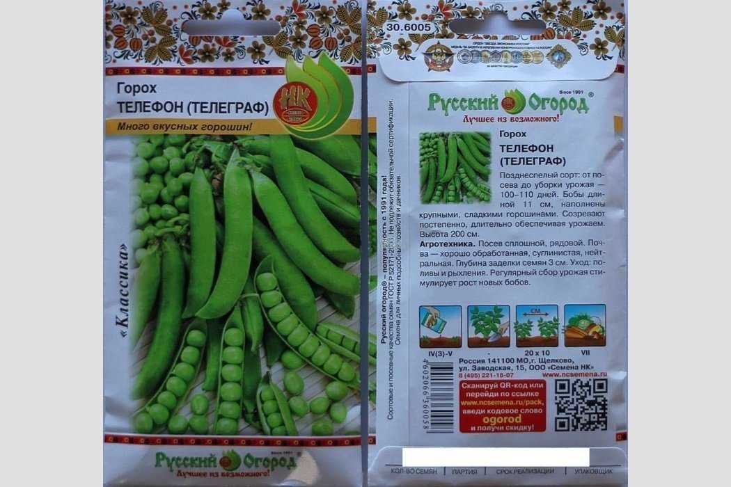 Садовый цветок душистый горошек или чина