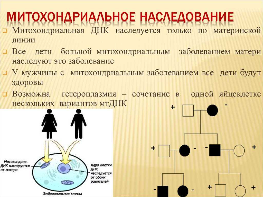 Добрая бабушка из пластилина – урок по лепке с пошаговыми фото