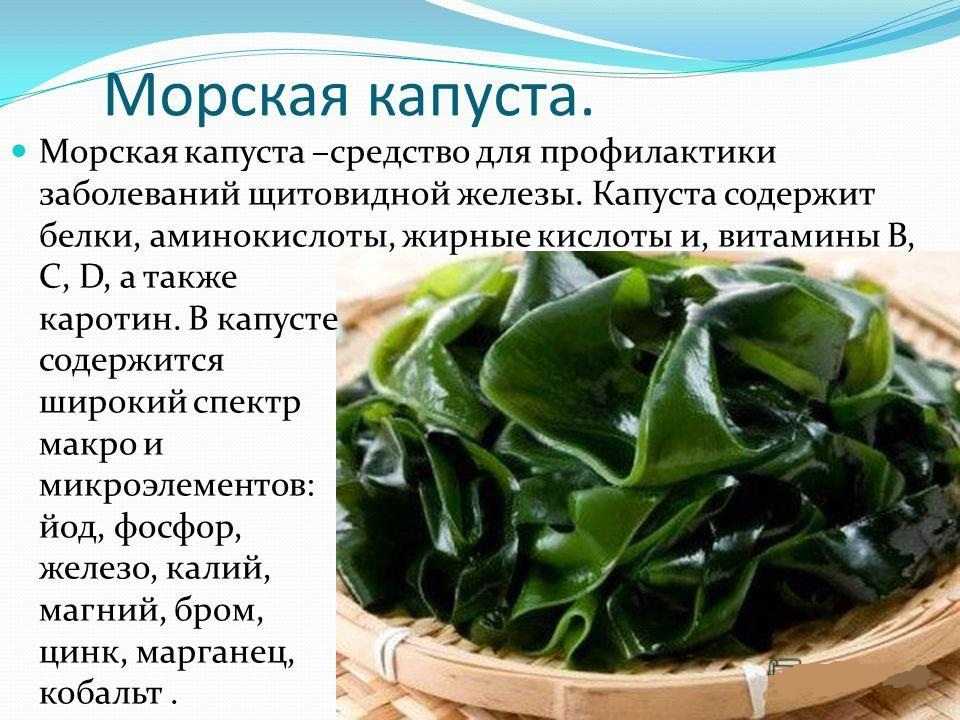 Ламинария для лица – больше 10 лучших рецептов применения (2021)