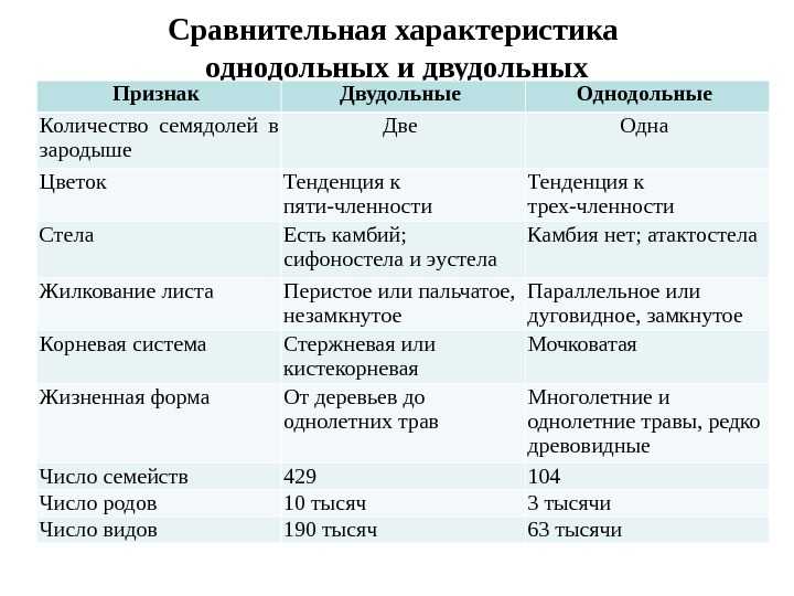 Схема признаков двудольных и однодольных растений