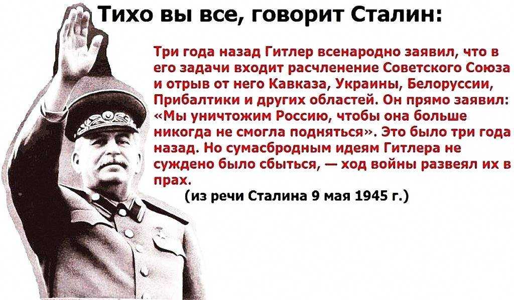 Золотые шары. как “бабушкины цветы” способны облагородить современный сад